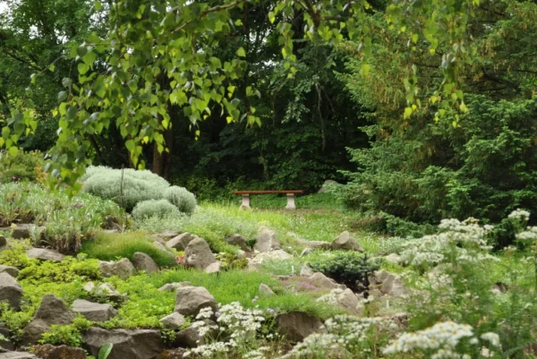 Tag der Pflanzen - Familientag im Botanischen Garten SZTE 20. Mai 2023.