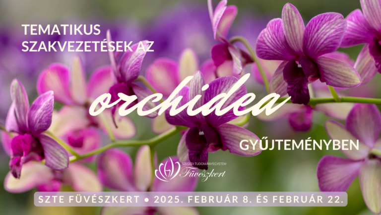 Thematische Orchideenführungen